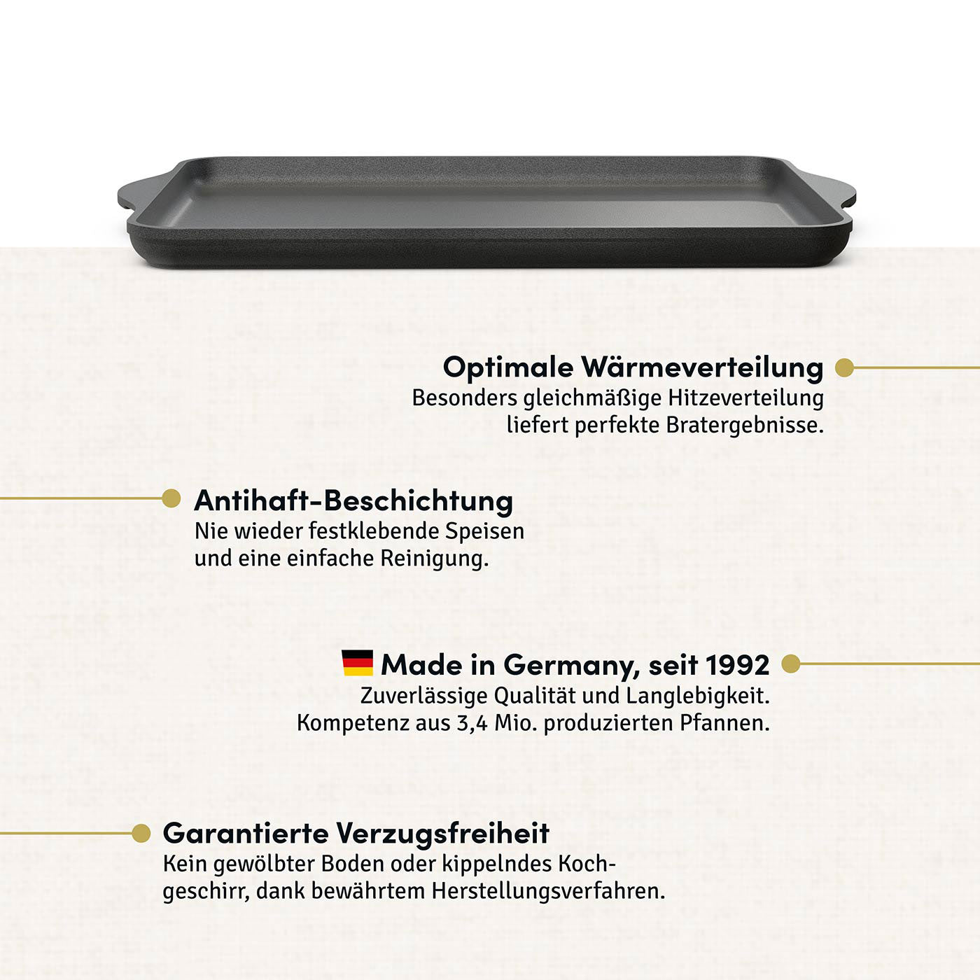 Teppanyakiplatte I Grillplatte I Plancha 49x29 cm