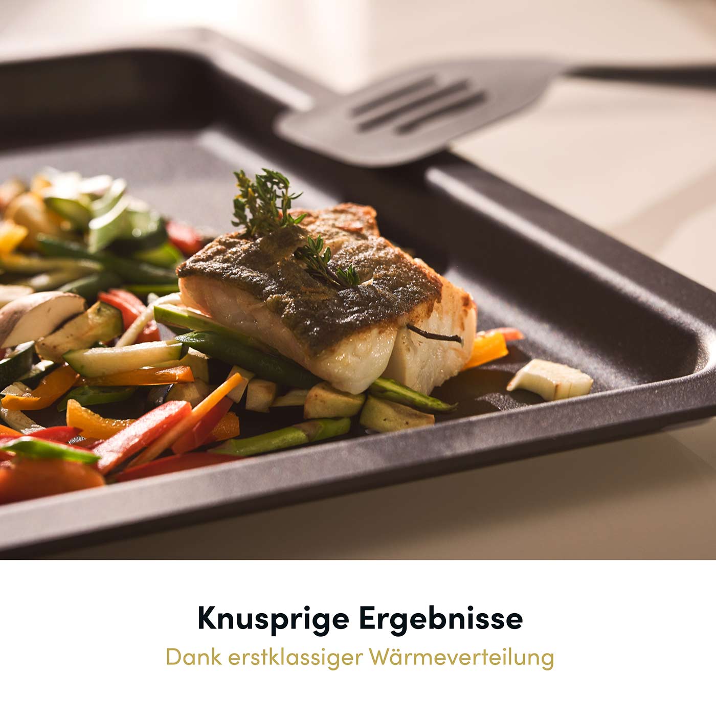 Backplatte 447x360 mm, handgegossen